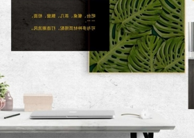 成品案例